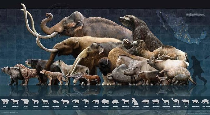 pleistocene, megafauna, extinction, younger dryas