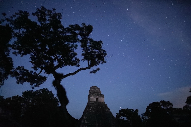 Guatemala, National Park, Tikal, Pyramid, Lidar, LiDAR, 