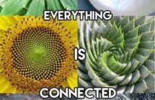Everything is Connected – Observing Our Movement in Nature